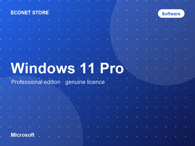Microsoft Windows 11 Pro